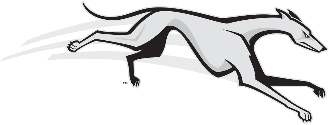 Loyola-Maryland Greyhounds 2002-2010 Partial Logo diy iron on heat transfer